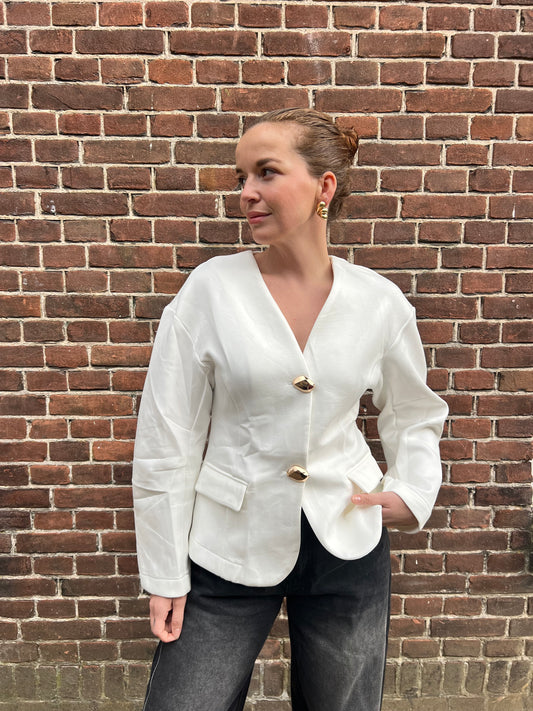 Wings oorbellen - Goud